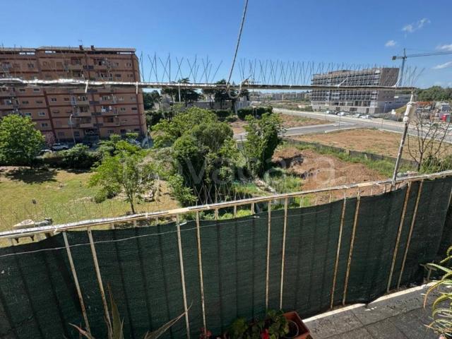 Appartamento in in affitto da privato a Roma via delle Cave di Pietralata, da privato, parzialmente arredato, ascensore TrovaCasa