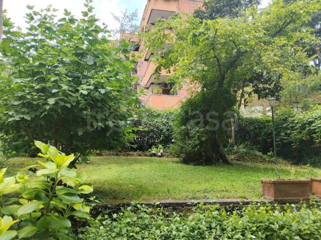 Appartamento in in affitto da privato a Roma via Palestrina, 11, giardino, da privato, ascensore TrovaCasa