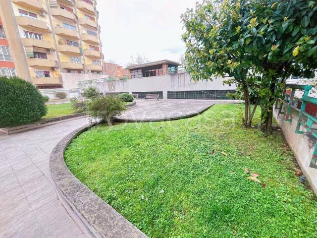 Appartamento in in affitto da privato a Roma via Rosa Guarnieri Carducci, da privato, balcone TrovaCasa