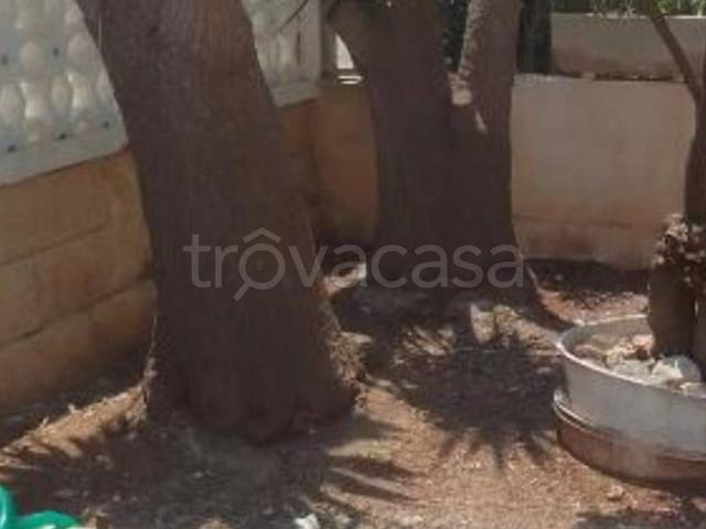 Appartamento in in affitto da privato a Racale via Andrea Doria, 7, arredato, giardino privato, posto auto TrovaCasa