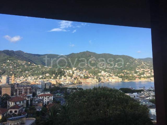 Appartamento in in affitto da privato a Rapallo via Aurelia Ponente, 22, giardino, box, da privato TrovaCasa