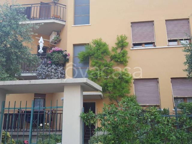 Appartamento in in affitto da privato a Riva del Garda, da privato TrovaCasa