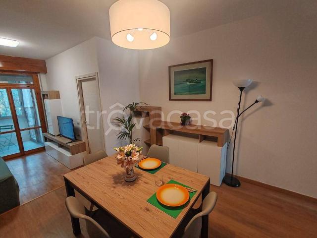 Appartamento in in affitto da privato a Rimini via Carlo Lucchesi, terrazzo, da privato, vicinanze negozi TrovaCasa