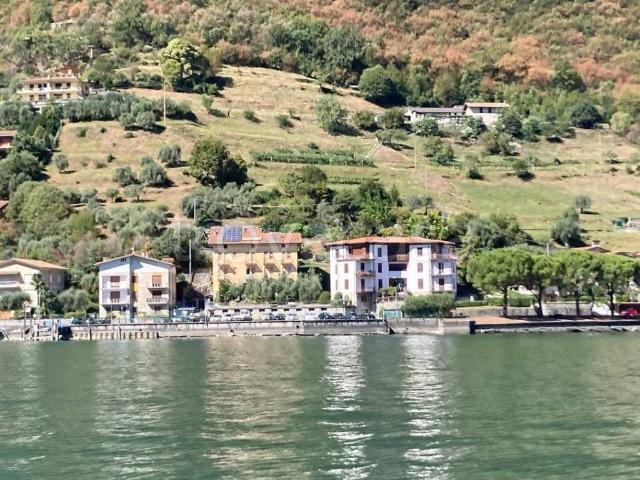 Appartamento in in affitto da privato a Tavernola Bergamasca via Sarnico, 33, arredato, giardino, da privato TrovaCasa