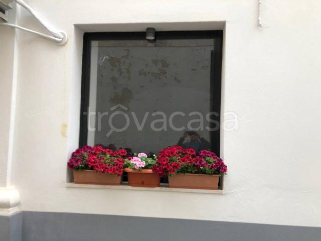 Appartamento in in affitto da privato a Termoli via Mercato, 20, da privato, lavatrice, lavastoviglie TrovaCasa