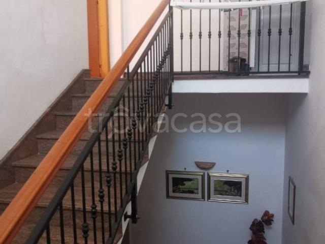 Appartamento in in affitto da privato a Trapani via delle Oreadi, 121, terrazzo, da privato TrovaCasa