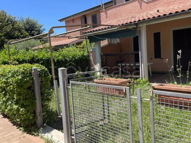 Appartamento in in affitto da privato a Trevignano Romano via dei Platani, 32, giardino, posto auto, da privato TrovaCasa