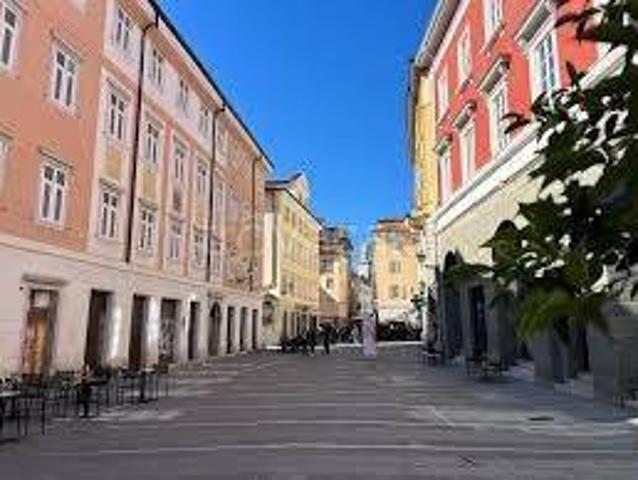 Appartamento in in affitto da privato a Trieste piazza di Cavana, arredato, box, da privato TrovaCasa