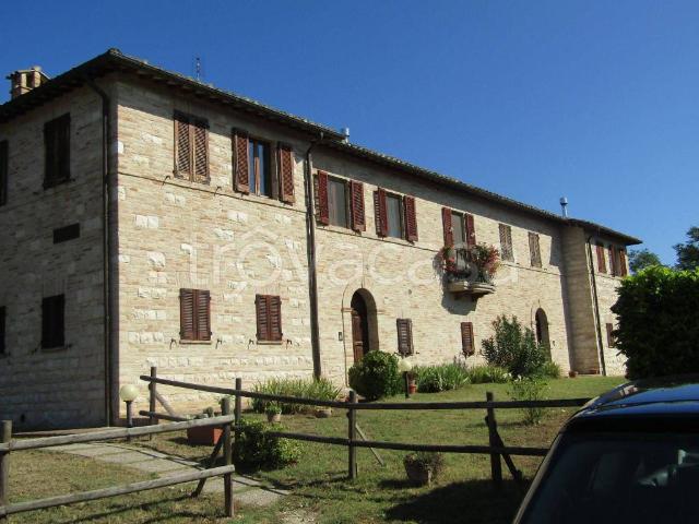 Appartamento in in affitto da privato a Urbino via Ca' le Suore, 20, da privato, ristrutturato, angolo cottura TrovaCasa