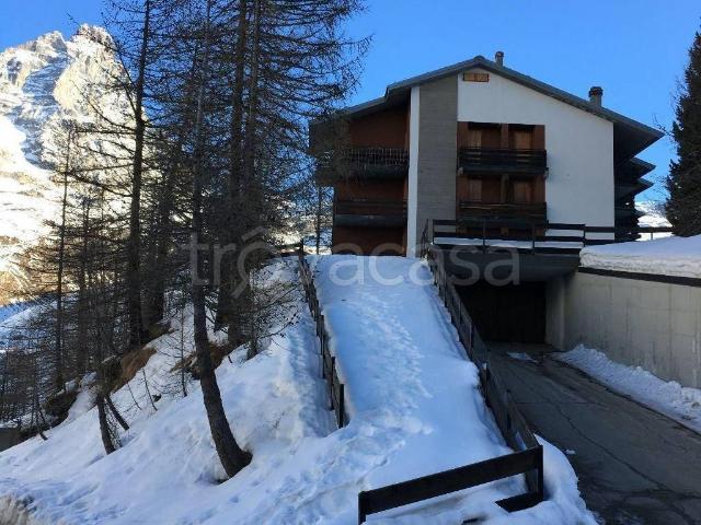 Appartamento in in affitto da privato a Valtournenche via Cristallo, arredato, box, da privato TrovaCasa