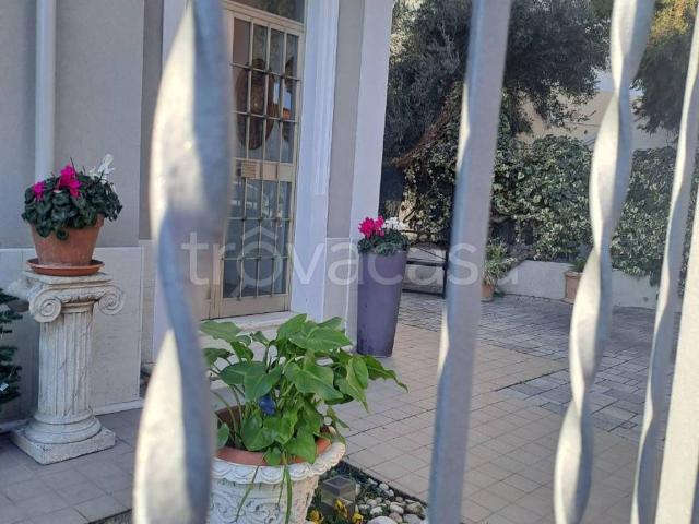 Appartamento in in affitto da privato a Verona via Paolo Caliari, 19, giardino, da privato, riscaldamento autonomo TrovaCasa