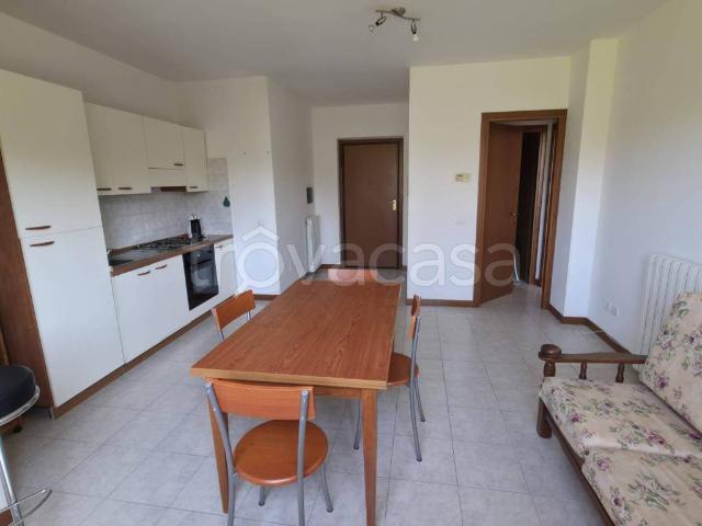 Appartamento in in affitto da privato a Viterbo via Angelo Ioppi, 26, da privato TrovaCasa