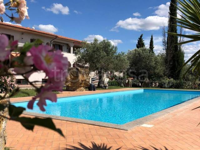 Appartamento in in affitto da privato a Viterbo strada Tuscanese, 87C, arredato, da privato, giardino condominiale TrovaCasa