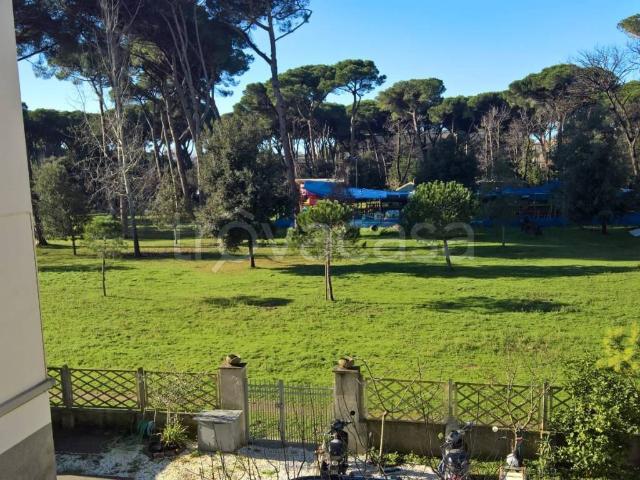 Appartamento in in affitto da privato a Viareggio via Indipendenza, 37, da privato, cucina abitabile TrovaCasa