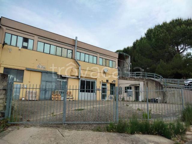 Appartamento in in affitto da privato a Vinci via Provinciale di Mercatale, 355, da privato, panoramica, zona industriale TrovaCasa