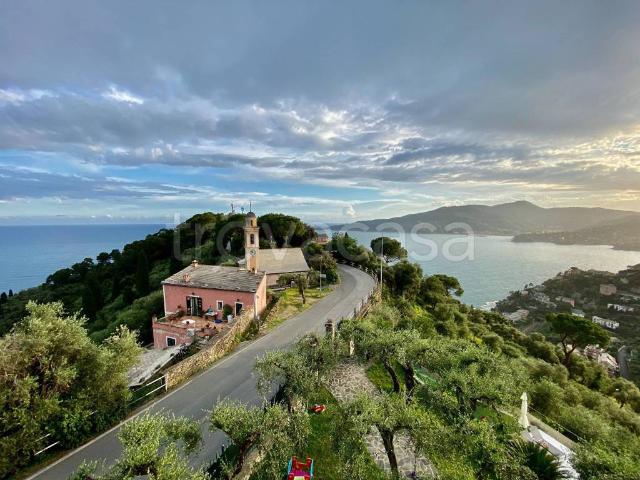 Appartamento in in affitto da privato a Zoagli via Cornice, 41 b, giardino privato, da privato, piscina privata TrovaCasa