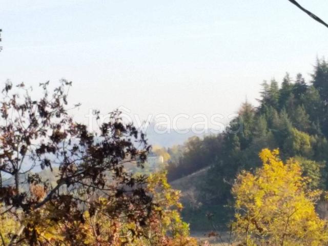Appartamento in in affitto da privato a Zola Predosa via Carrani, 22, arredato, da privato, caminetto TrovaCasa