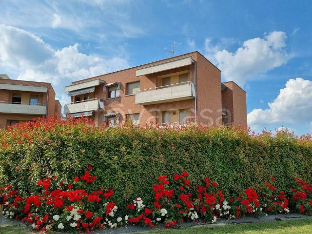 Appartamento in in affitto da privato ad Alba corso Italia, 1C, arredato, box, da privato TrovaCasa