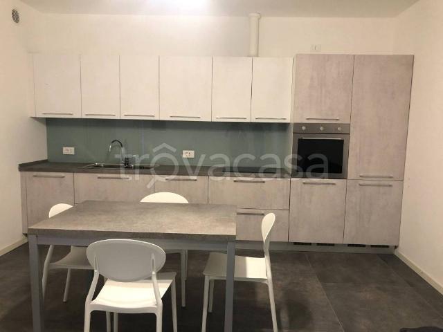 Appartamento in in affitto da privato ad Albignasego via Vittorio Veneto, giardino, posto auto, da privato TrovaCasa