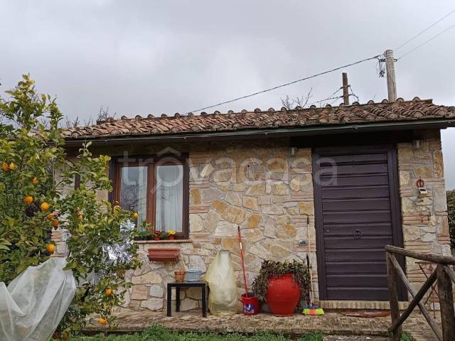 Appartamento in in affitto da privato ad Amelia strada del Fondo, 30, giardino, posto auto, da privato TrovaCasa