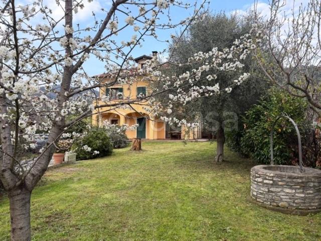 Appartamento in in affitto da privato ad Andora località Piazza, 11B, giardino, da privato TrovaCasa