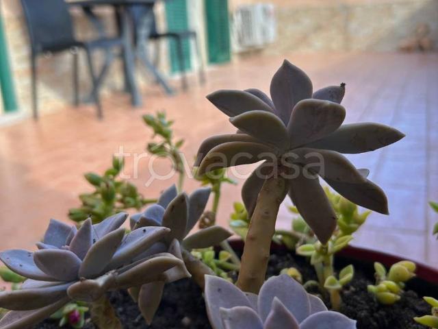 Appartamento in in affitto da privato ad Ardea via Tanaro, giardino, da privato, vista aperta TrovaCasa
