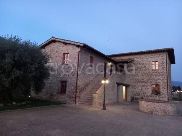 Appartamento in in affitto da privato ad Assisi viale dei Pini, 5, giardino, da privato TrovaCasa