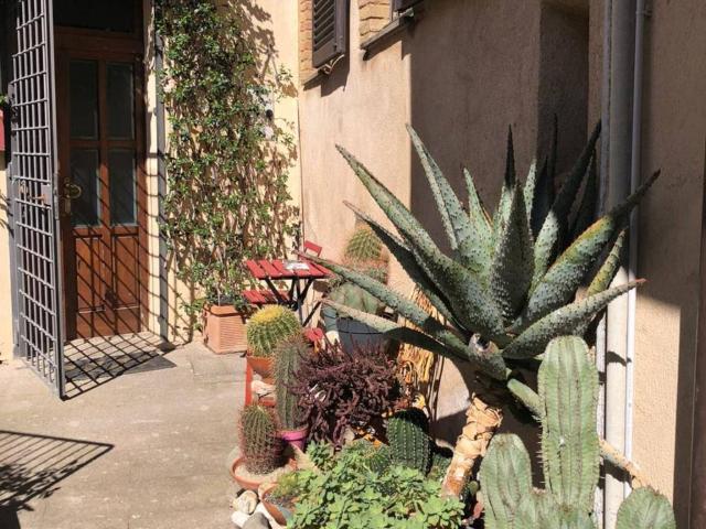 Appartamento in vendita a Magliano in Toscana GR