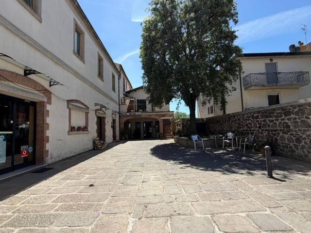 Appartamento in vendita a Manciano GR