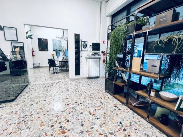 Appartamento in vendita a Mantova MN