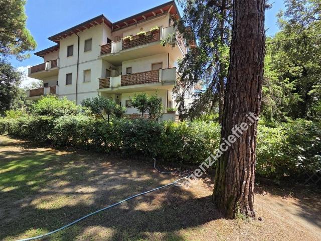 APPARTAMENTO in VENDITA a MASSA Marina di Massa di 3 vani