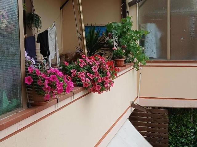 Appartamento in vendita a Massa MS