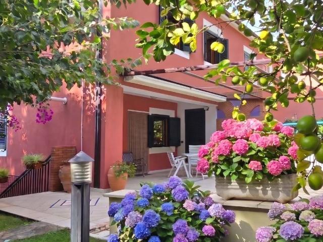 Appartamento in vendita a Maratea PZ