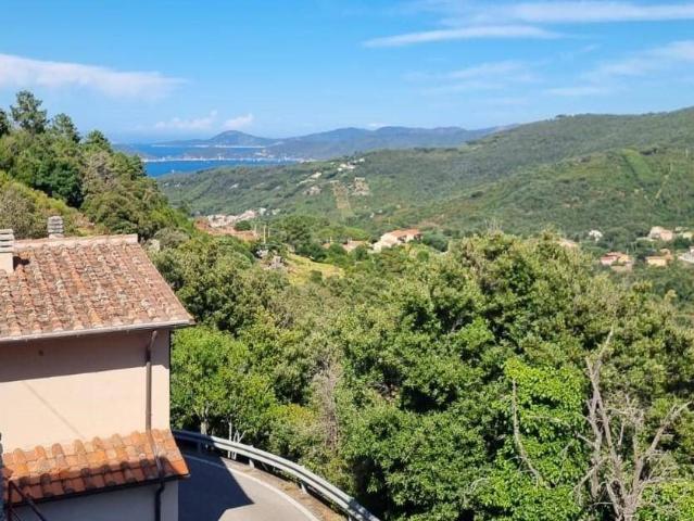Appartamento in vendita a Marciana LI