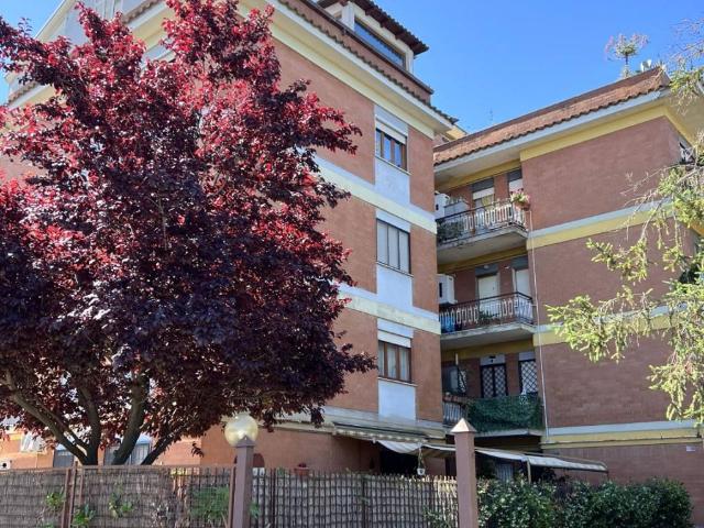 Appartamento in vendita a Marino RM