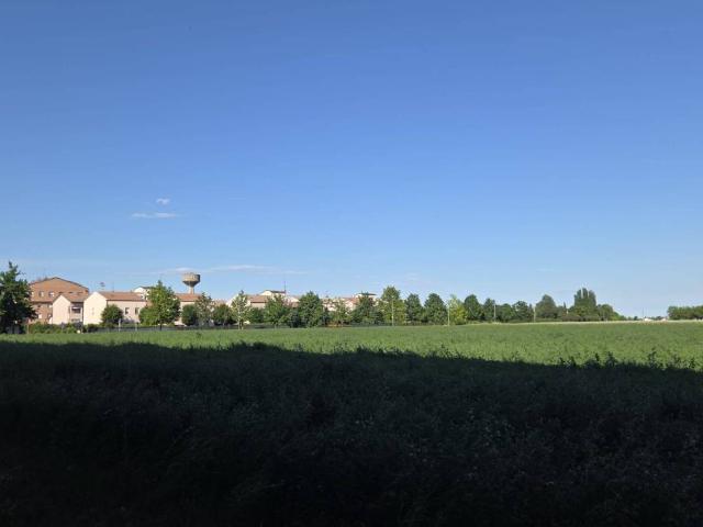 Appartamento in vendita a Medicina BO