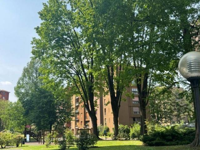 Appartamento in vendita a Milano MI