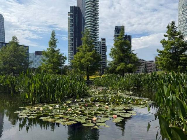 Appartamento in vendita a Milano MI