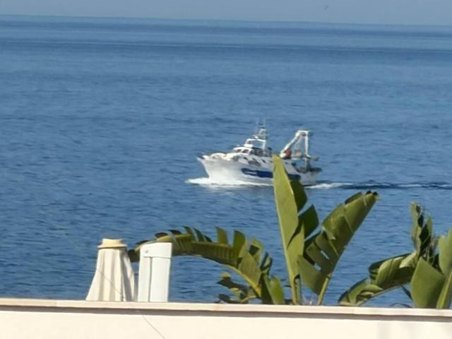 Appartamento in vendita a Monopoli BA