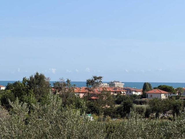 Appartamento in vendita a Mondolfo PU
