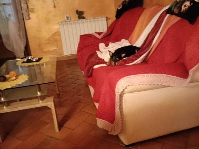 Appartamento in vendita a Montaione FI