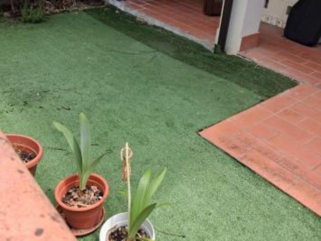 Appartamento in vendita a Montecalvoli Alto Santa Maria a Monte 40 mq Rif: 1422995