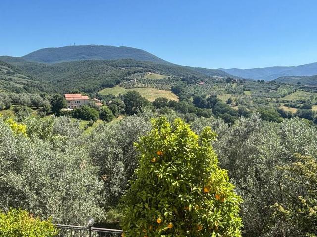 Appartamento in vendita a Montebuono RI