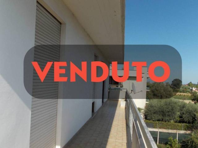 Appartamento in vendita a Monteprandone AP