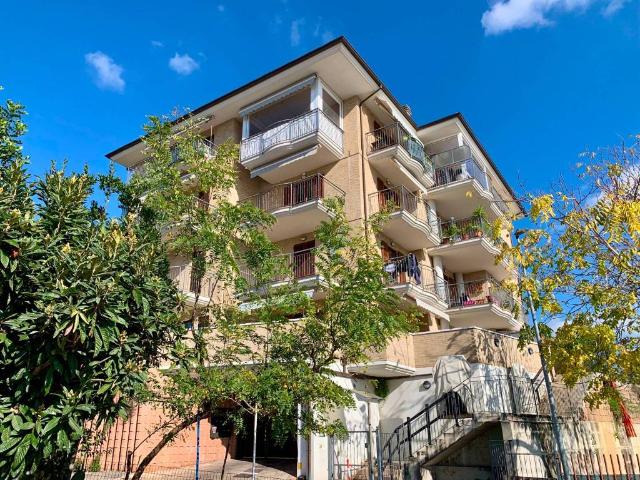 Appartamento in vendita a Monteprandone AP