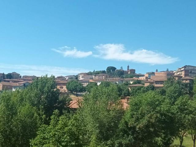 Appartamento in vendita a Montepulciano SI