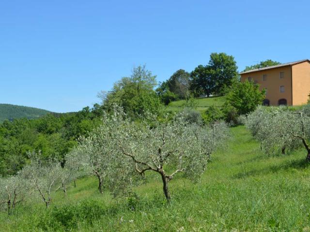 Appartamento in vendita a Montieri GR