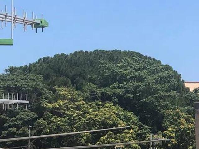 Appartamento in vendita a Napoli NA