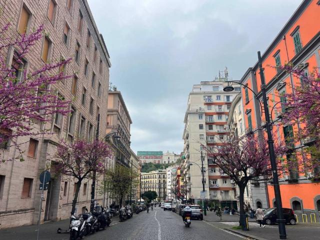 Appartamento in vendita a Napoli NA