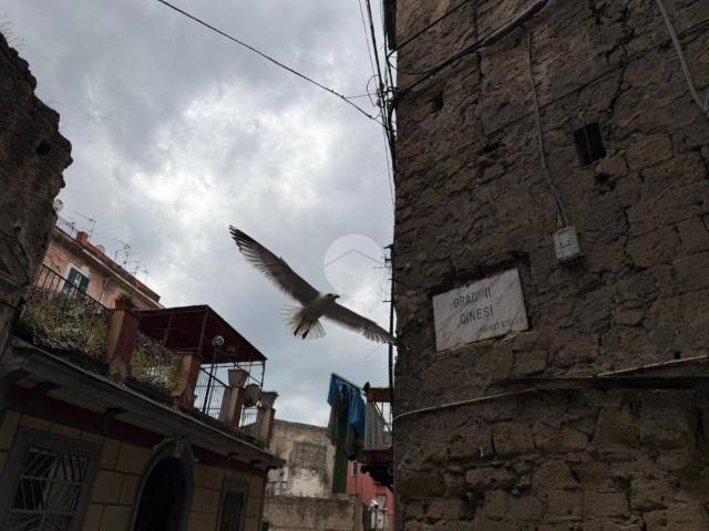 Appartamento in vendita a Napoli NA